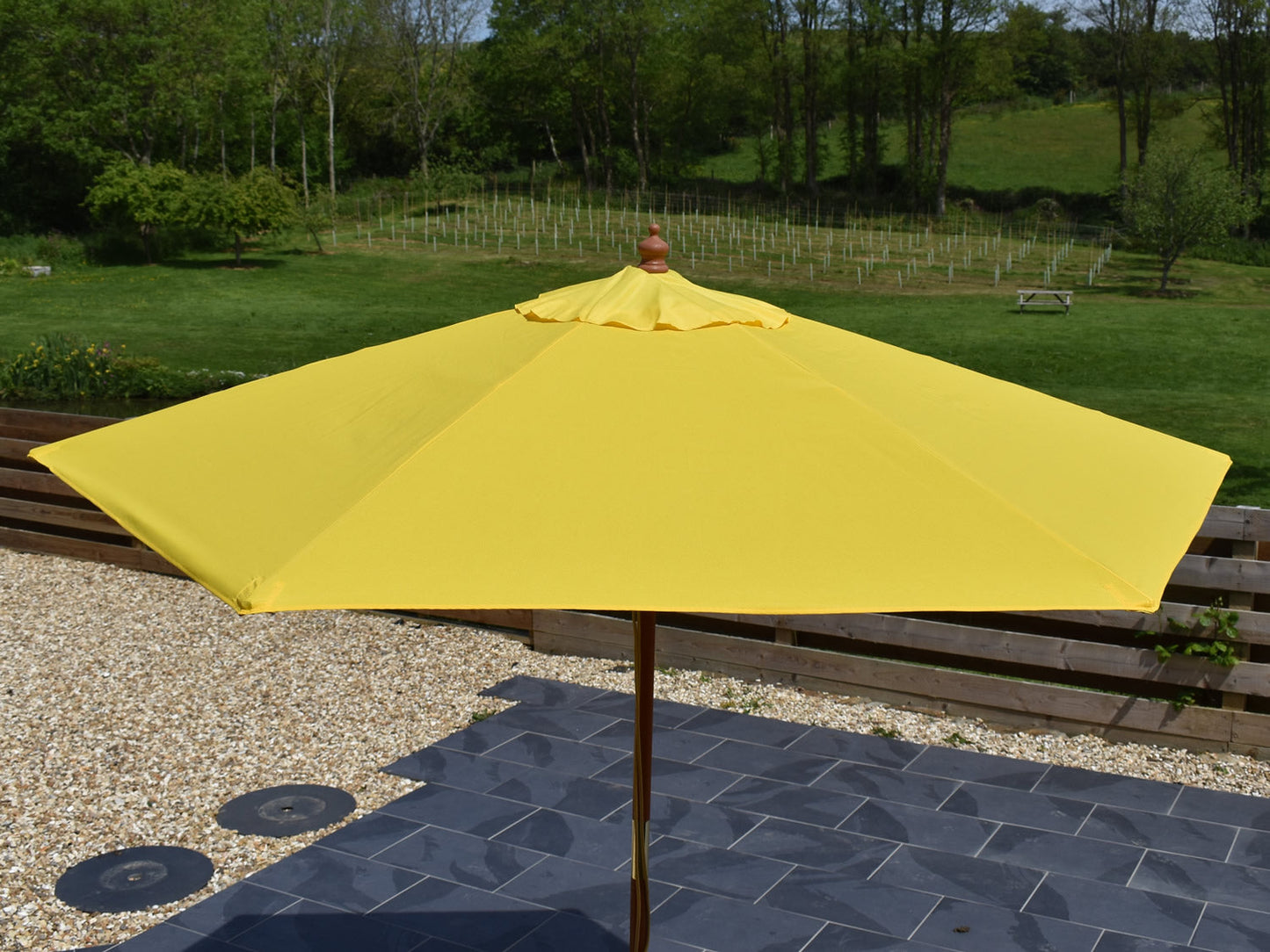 2.5 Parasol side view Yellow