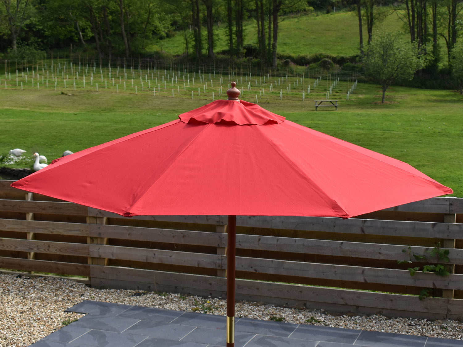 2m Octagonal parasol side view Red